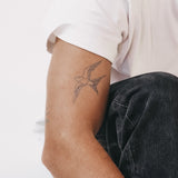 Vliegende zwaluw Fineline