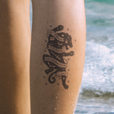 Harry Potter Huis van Gryffindor Bundel Tatoeages