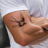 Vliegende zwaluw Traditional