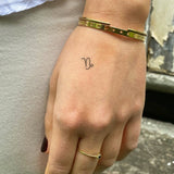 Sterrenbeeld Steenbok