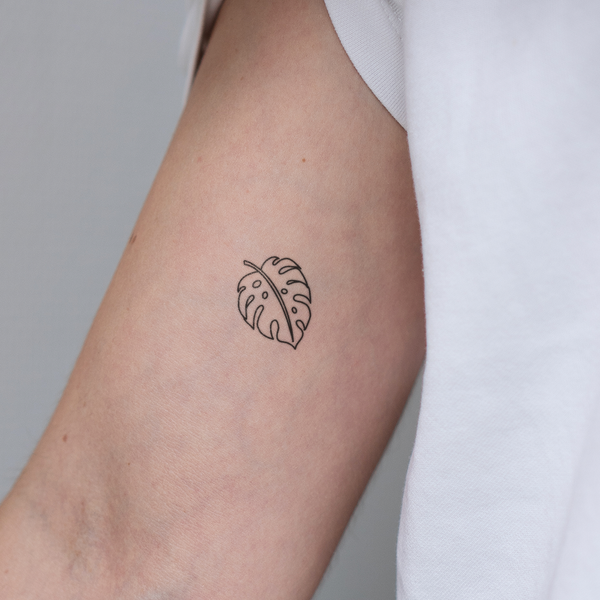 Kleine Monstera Tatoeage